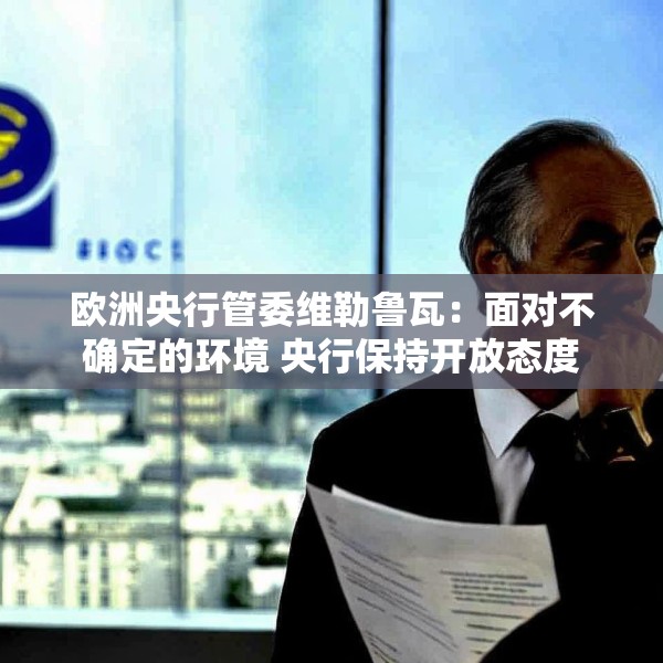 欧洲央行管委维勒鲁瓦：面对不确定的环境 央行保持开放态度