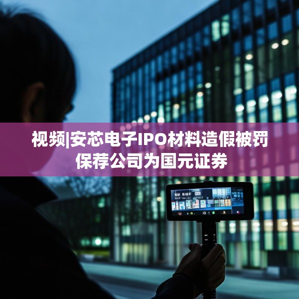 视频|安芯电子IPO材料造假被罚 保荐公司为国元证券