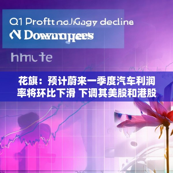 花旗：预计蔚来一季度汽车利润率将环比下滑 下调其美股和港股目标价