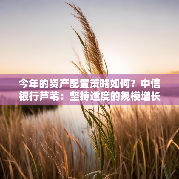 今年的资产配置策略如何？中信银行芦苇：坚持适度的规模增长，重在优化结构