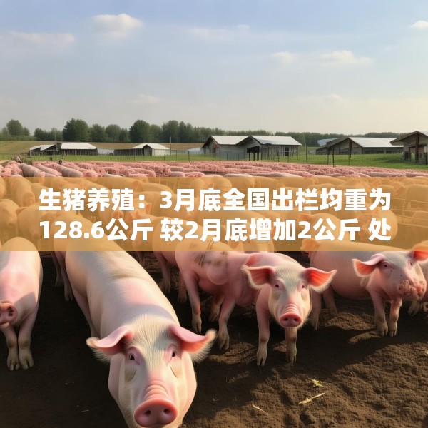 生猪养殖：3月底全国出栏均重为128.6公斤 较2月底增加2公斤 处于2022年以来的最高水平
