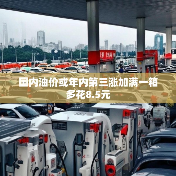 国内油价或年内第三涨加满一箱多花8.5元