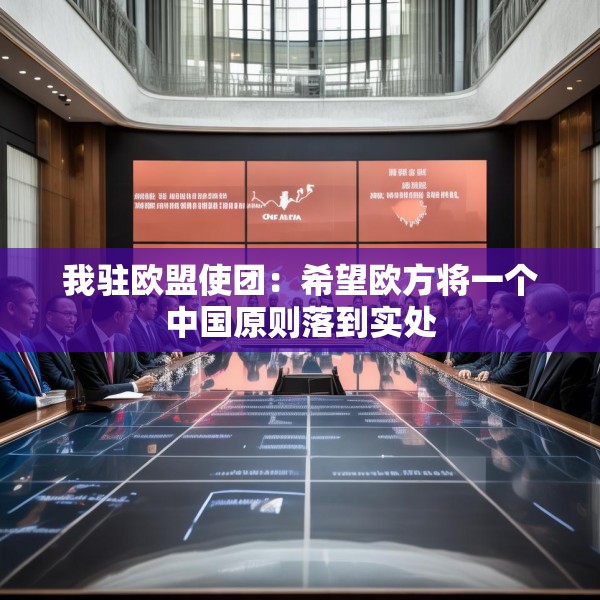 我驻欧盟使团：希望欧方将一个中国原则落到实处