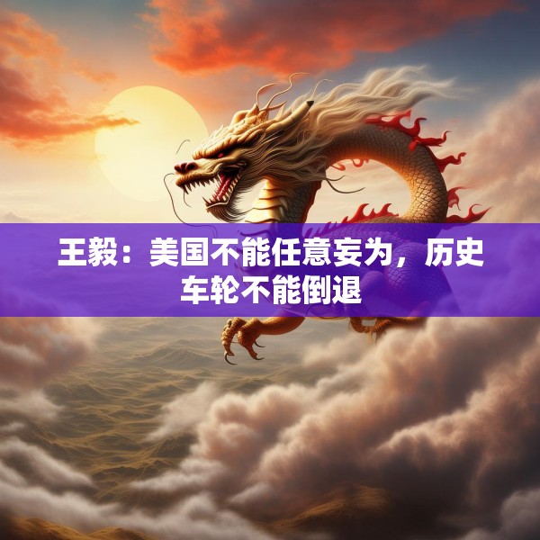 王毅：美国不能任意妄为，历史车轮不能倒退
