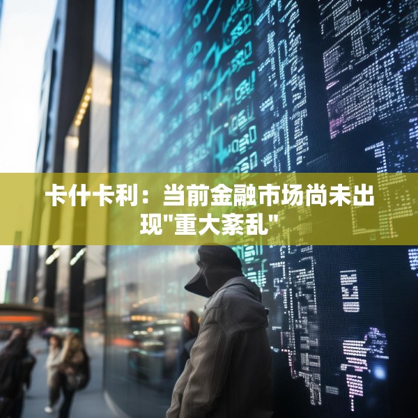 卡什卡利：当前金融市场尚未出现
