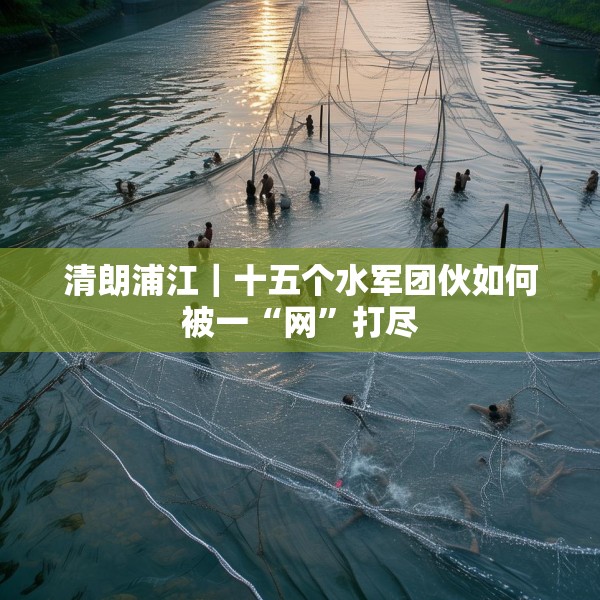 清朗浦江｜十五个水军团伙如何被一“网”打尽