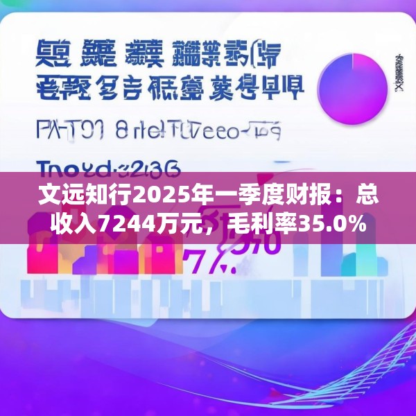 文远知行2025年一季度财报：总收入7244万元，毛利率35.0%