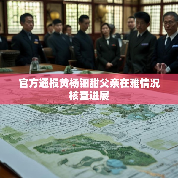 官方通报黄杨钿甜父亲在雅情况核查进展