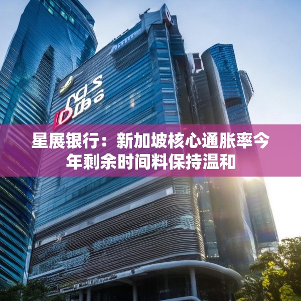 星展银行：新加坡核心通胀率今年剩余时间料保持温和