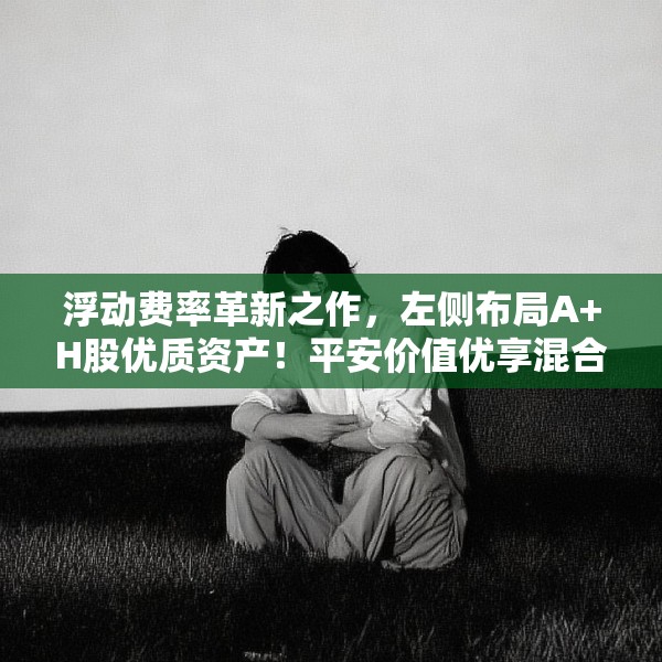 浮动费率革新之作，左侧布局A+H股优质资产！平安价值优享混合正式发行！