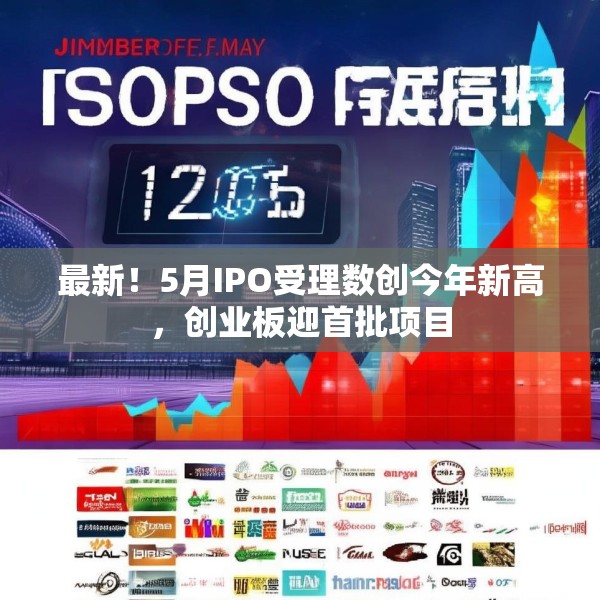 最新！5月IPO受理数创今年新高，创业板迎首批项目