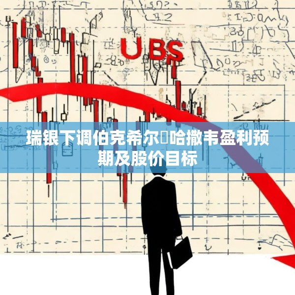 瑞银下调伯克希尔・哈撒韦盈利预期及股价目标