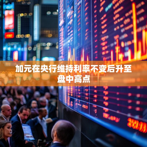 加元在央行维持利率不变后升至盘中高点