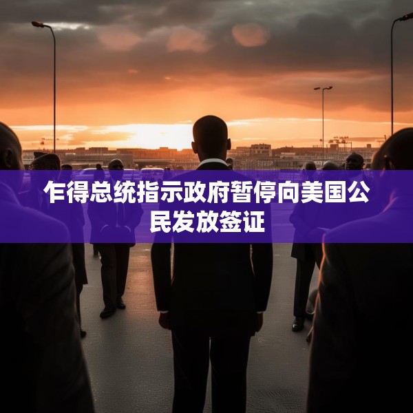 乍得总统指示政府暂停向美国公民发放签证