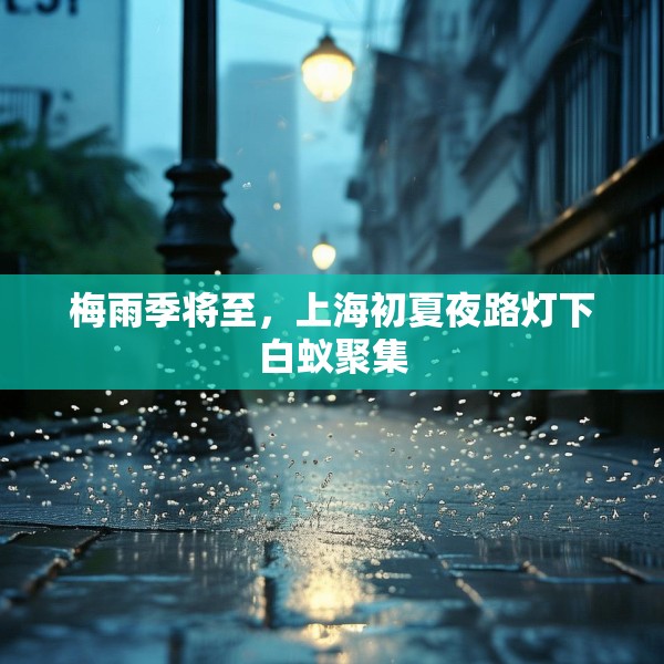 梅雨季将至，上海初夏夜路灯下白蚁聚集