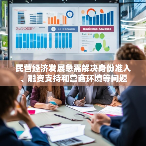 民营经济发展急需解决身份准入、融资支持和营商环境等问题