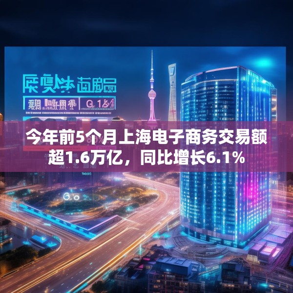 今年前5个月上海电子商务交易额超1.6万亿，同比增长6.1%