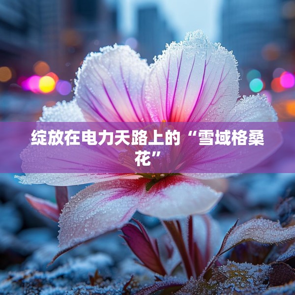 绽放在电力天路上的“雪域格桑花”