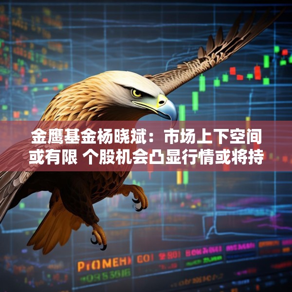 金鹰基金杨晓斌：市场上下空间或有限 个股机会凸显行情或将持续